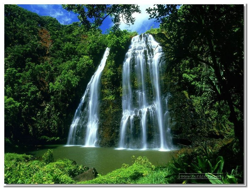 opaeka_falls-hawaii.jpg