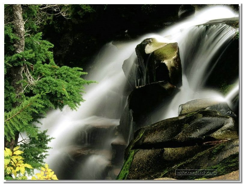 paradise_river_waterfall-washington.jpg